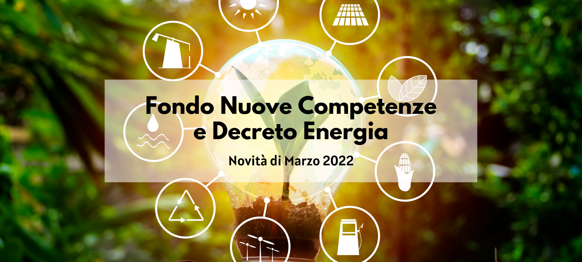 FONDO NUOVE COMPETENZE: LE NOVITÀ DA MARZO 2022