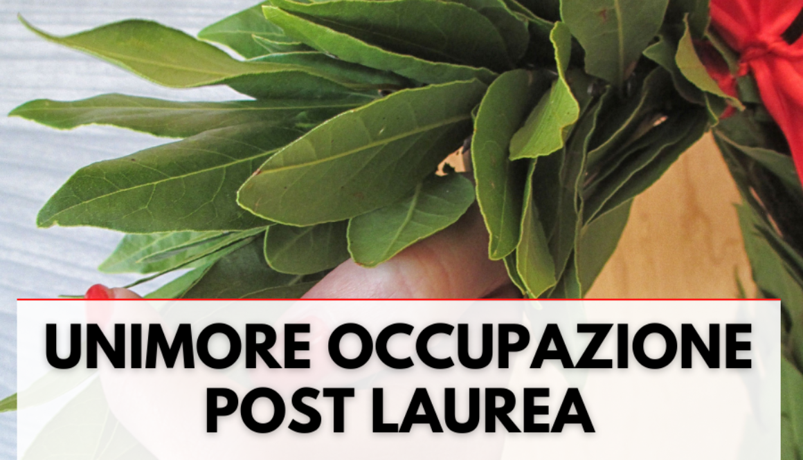 UNIMORE OCCUPAZIONE POST LAUREA