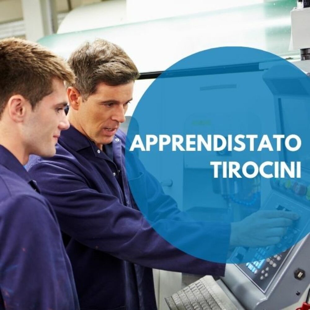 APPRENDISTATO-TIROCINI-AZIENDE