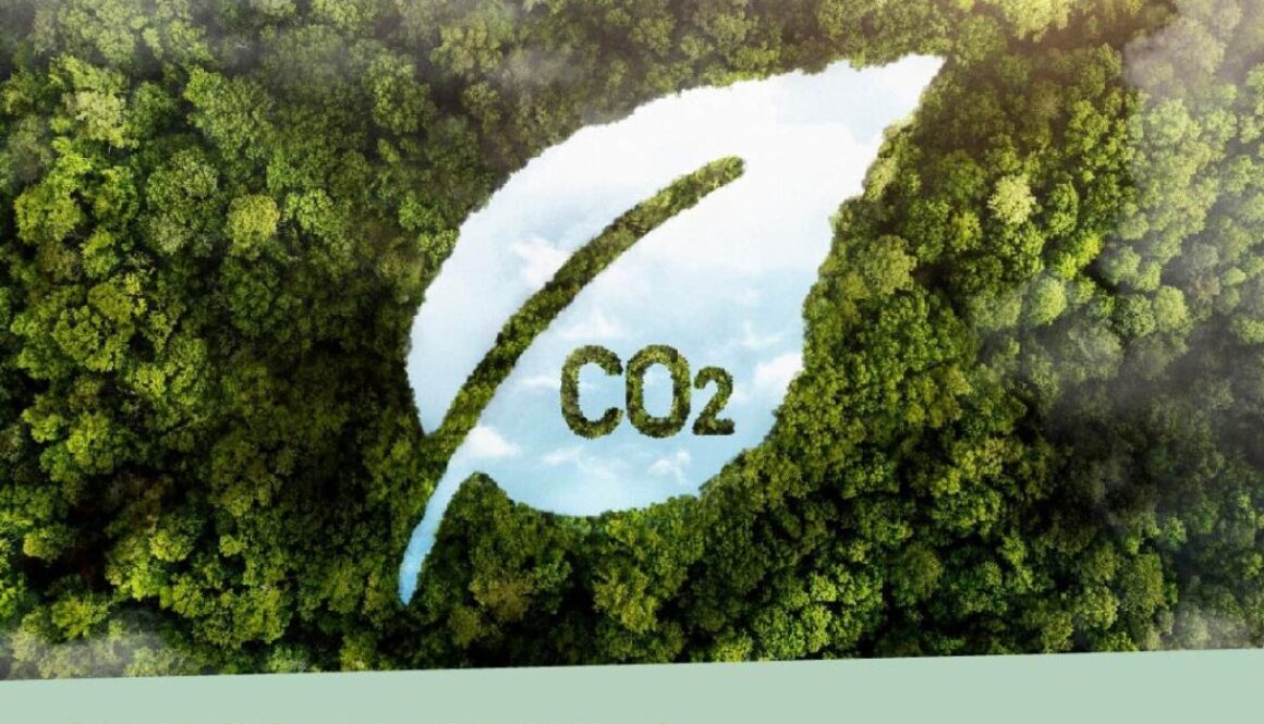 corsi-gratuiti-finanziati-regione_Tavola disegno 1 copia 27